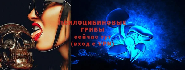 тгк Медвежьегорск