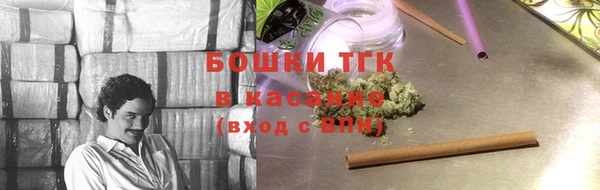 тгк Медвежьегорск