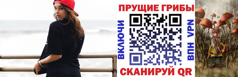 Галлюциногенные грибы ЛСД  где можно купить   Наволоки 