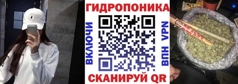 Бошки марихуана Ganja блэк спрут как войти Наволоки